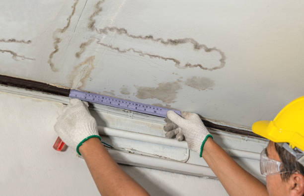 Reliable Burst Pipe Cleanup contractor in Farner, TN by Water Damage Irwin